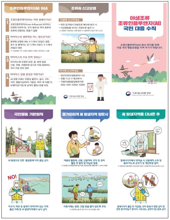기후에너지환경부, 겨울철새 남하 시작… 조류인플루엔자 유입 차단 총력 기사 이미지