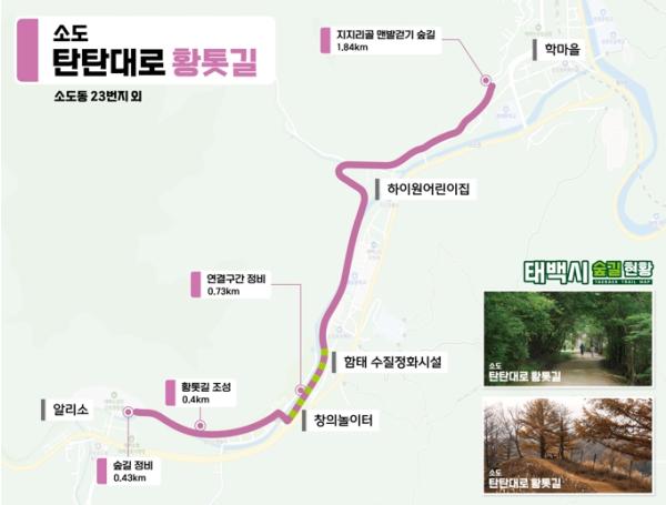 태백시, 함백산 절경부터 생활권 황톳길까지…‘대한민국 대표 산림휴양도시’ 도약 기사 이미지