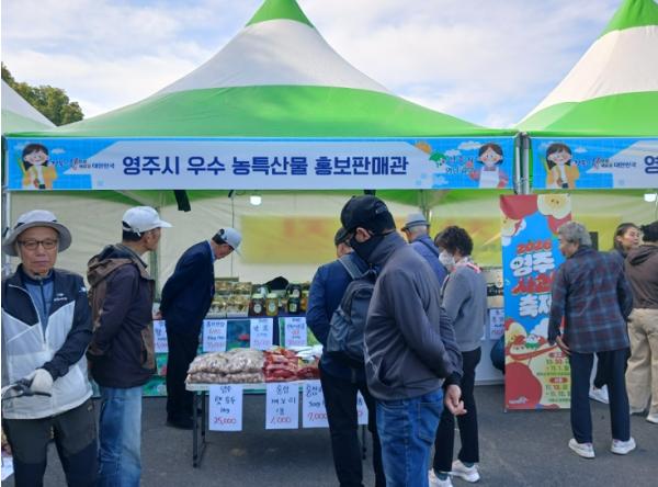 영주시, 대구서 농특산물 판촉…영주사과축제 홍보도 이어가 기사 이미지